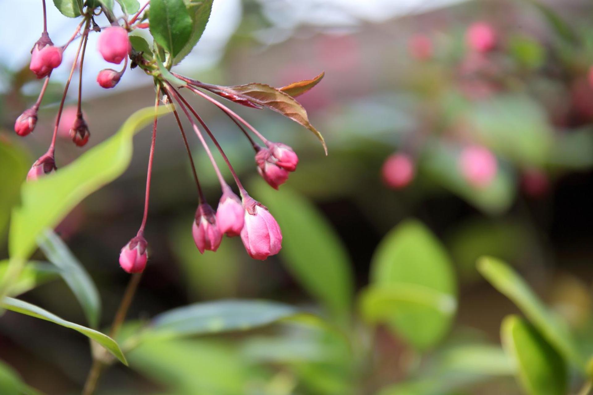 天童荘 Tendoso Exterior foto