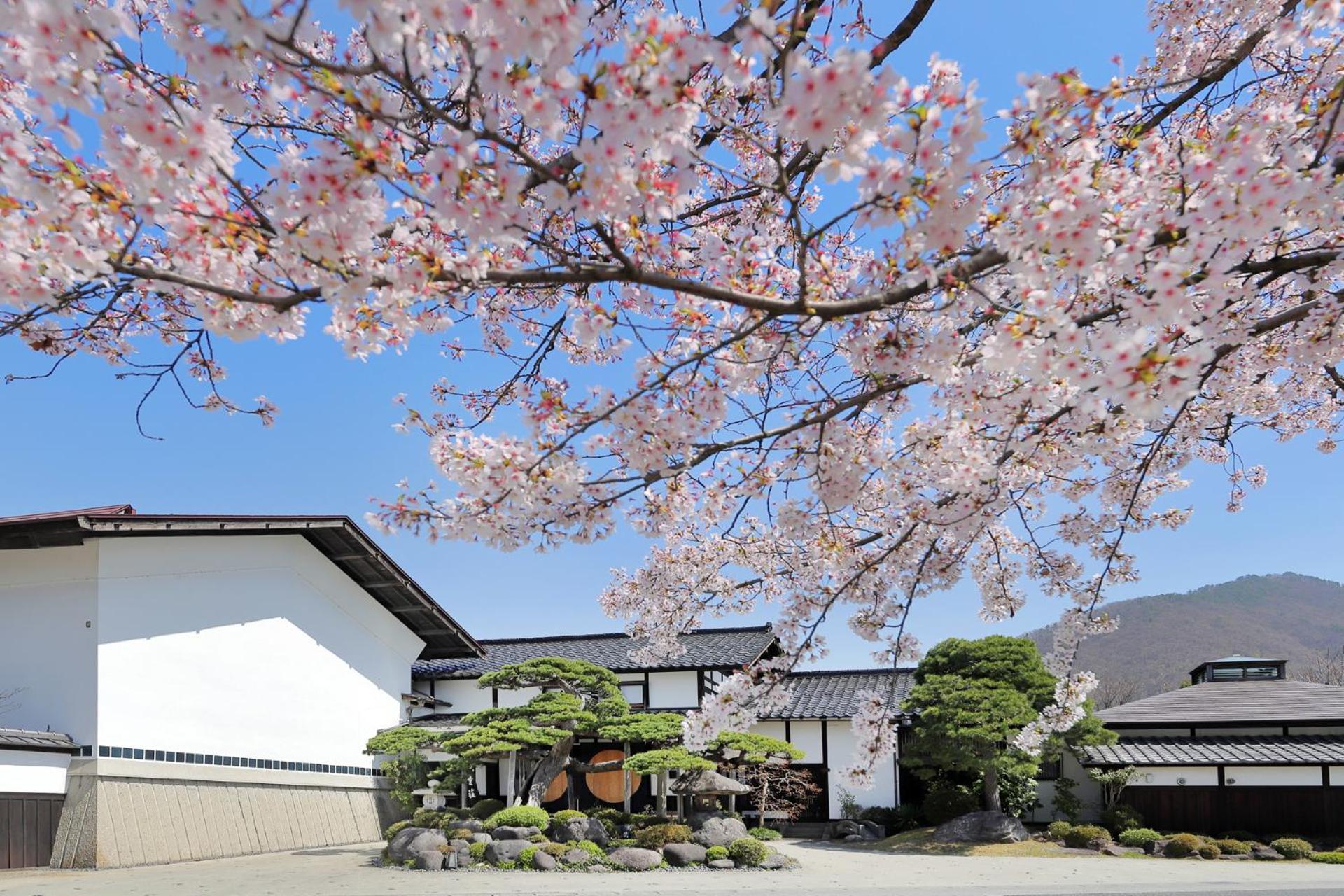 天童荘 Tendoso Exterior foto